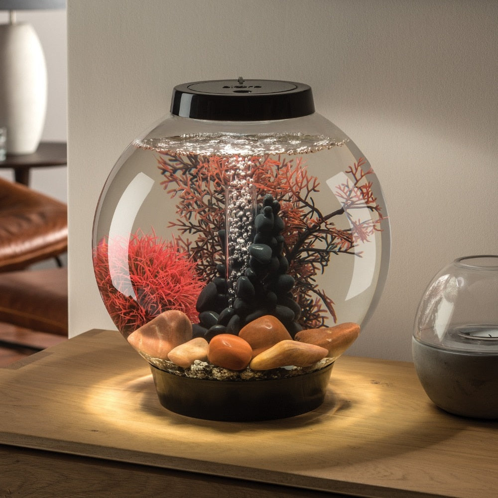 Fish Tanks and & Bowls With Accessories - stevesdecorandpets