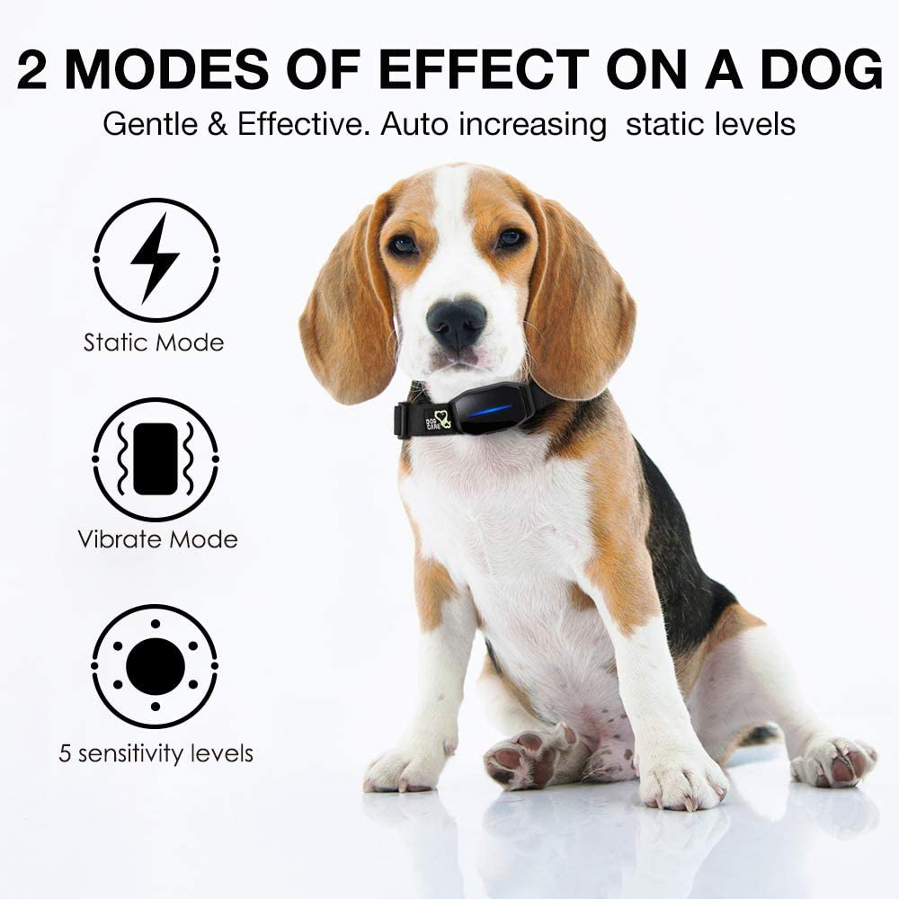 Anti Bark Dog Collar / Training Collar - stevesdecorandpets