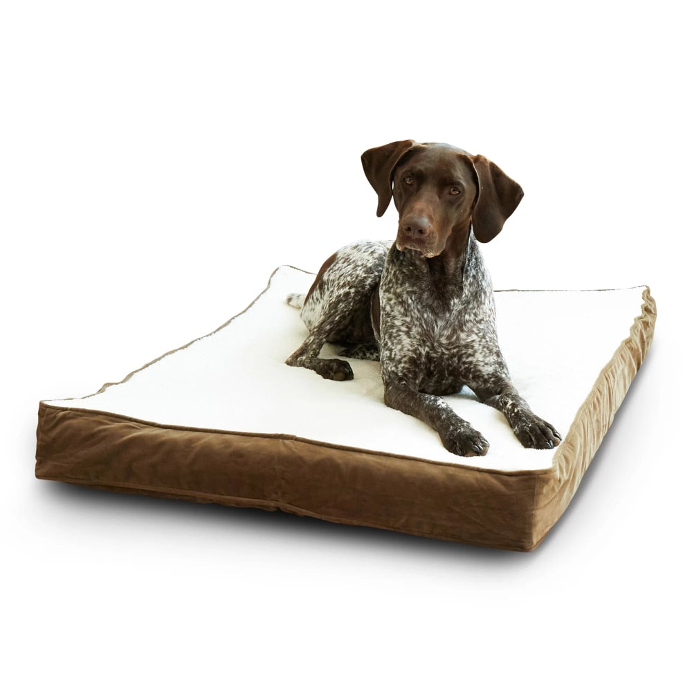 Dog Bed, Crimson, Medium (42 X 30 In.) - stevesdecorandpets