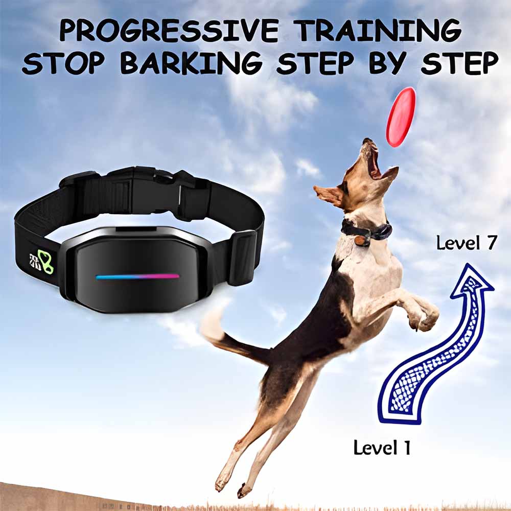 Anti Bark Dog Collar / Training Collar - stevesdecorandpets