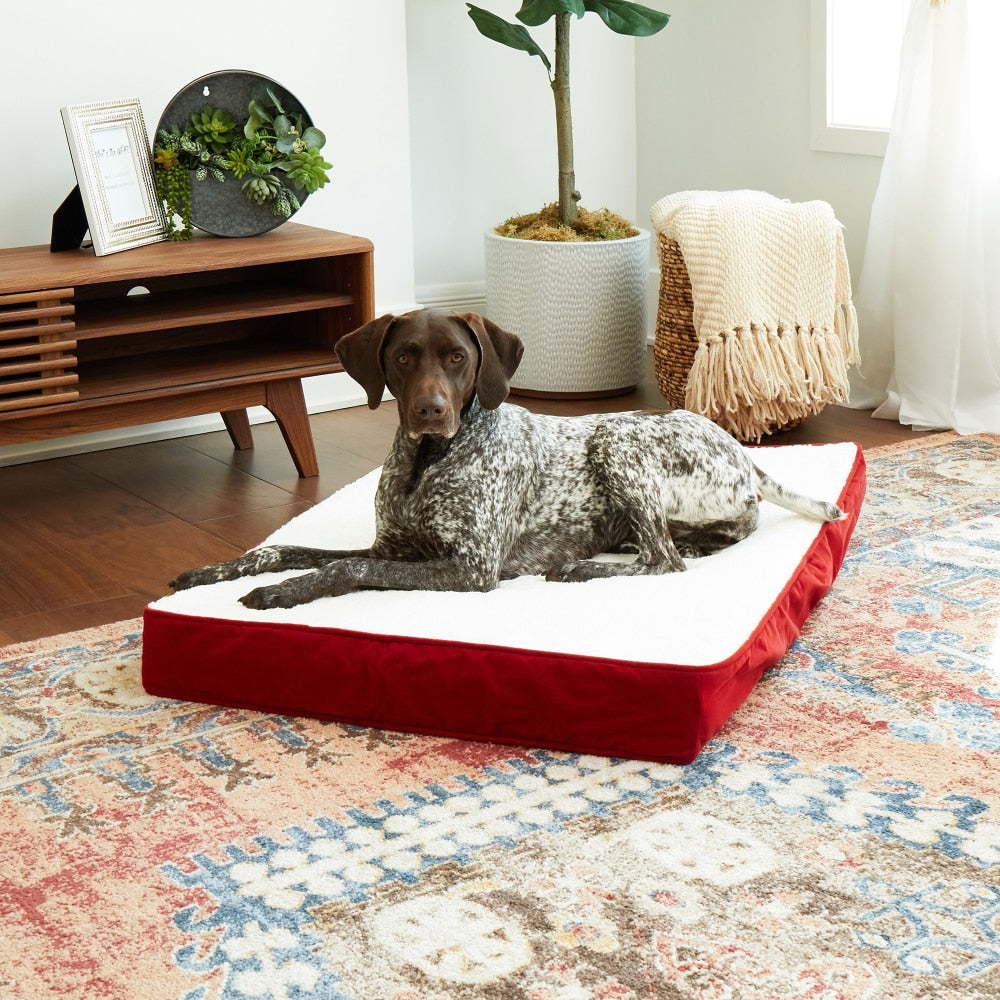 Dog Bed, Crimson, Medium (42 X 30 In.) - stevesdecorandpets