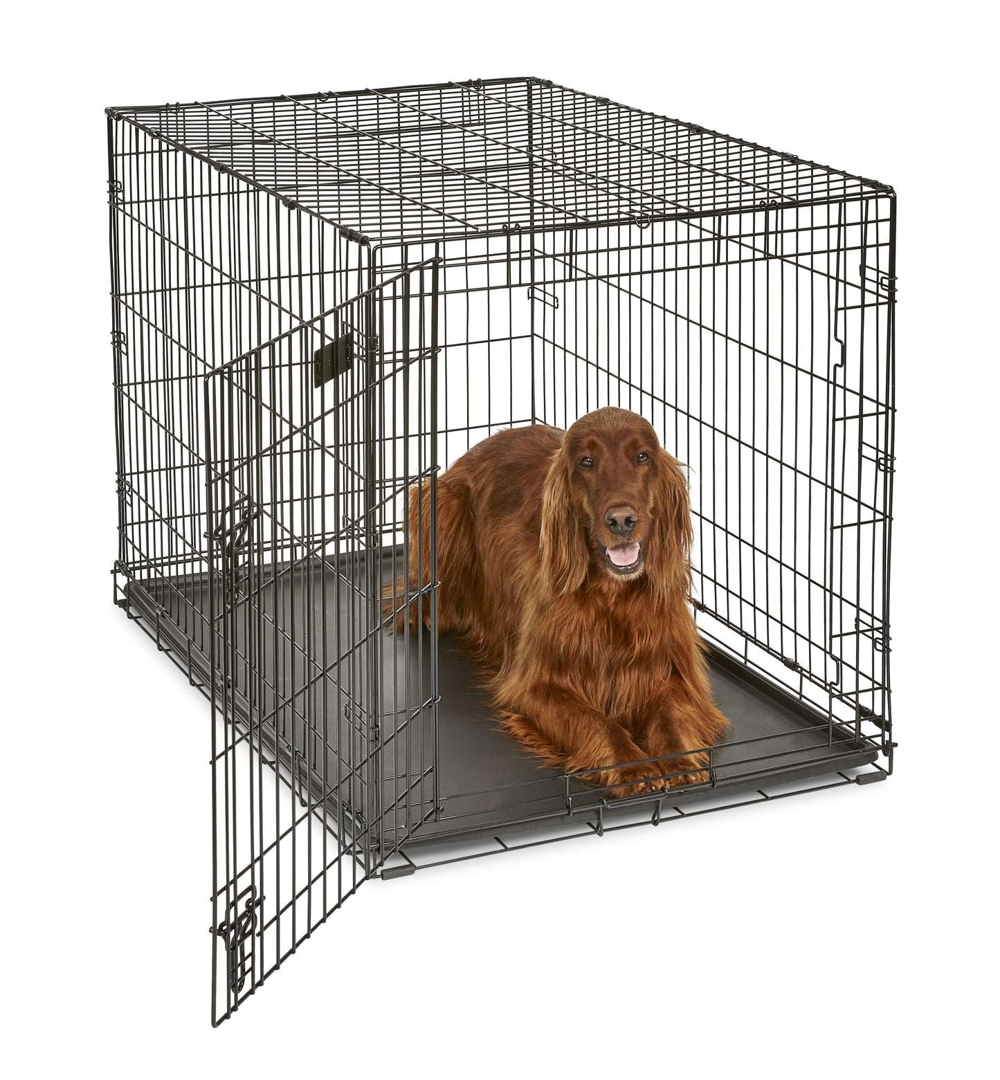 Large Dog Crate - stevesdecorandpets