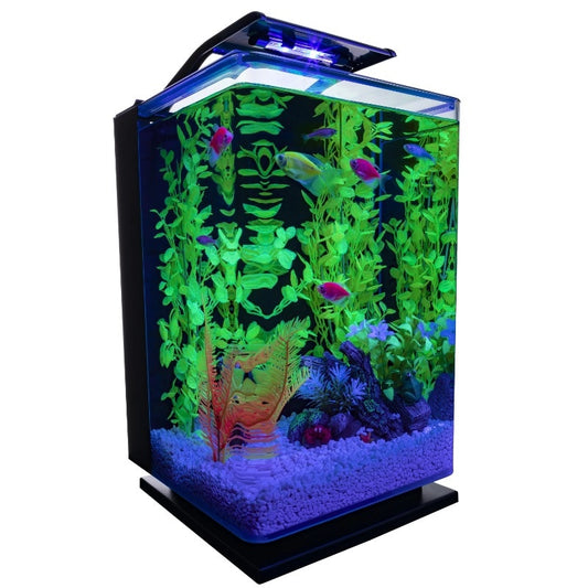 5 gal  Glass Aquarium Kit - stevesdecorandpets