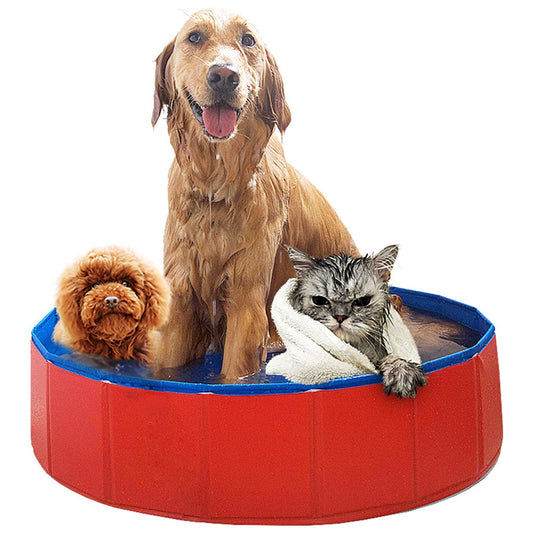 Foldable Dog  Pool - stevesdecorandpets